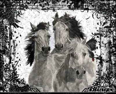 Dans son recueil "Paroles" Prévert écrit "Dans les manèges du mensonge, le cheval de ton sourire tourne ..." Quelle couleur donne-t-il au cheval ?