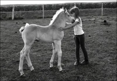 Quelle couleur avait le petit cheval de Paul Fort ?