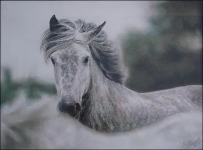 Quelle était la couleur du poney de John Steinbeck ?