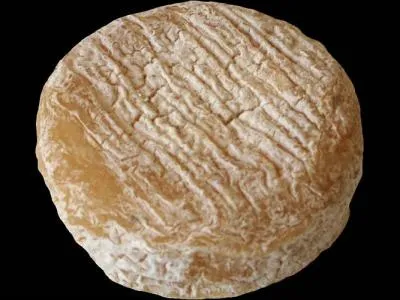 Dans quels départements élabore-t-on les Picodons?