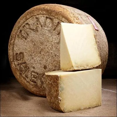 Comment s'appelle le récipient en bois de forme tronconique qui sert à réceptionner le lait servant à la confection du Salers lors de la traite?