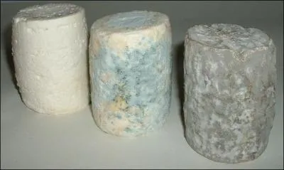 Le Charolais est un fromage de chèvre, quel département en est le principal producteur?