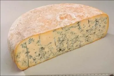 De qui le Bleu de Gex fut-il le fromage préféré?