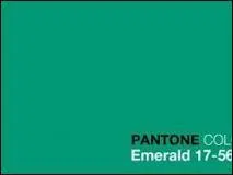 Quelle nuance de vert pouvez-vous voir sur la photo ?