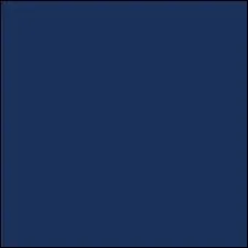 Quelle nuance de bleu pouvez-vous voir sur la photo ?