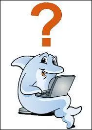 C'est la fin de ce quiz, qu'allez-vous faire &agrave; l'instant ?