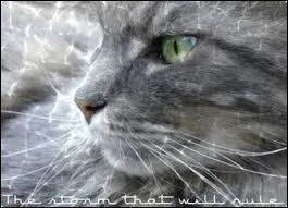 De qui Croc de Vipère est-il le père ?