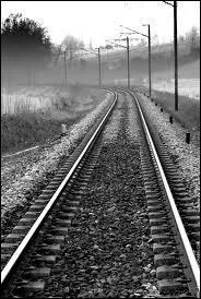 Si le venin est ingéré, par quelle voie se répandra-t-il ?