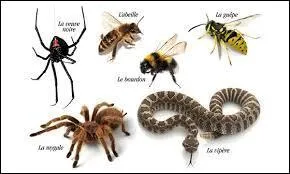 Dans quel cas les pompes à aspirer sont-elles efficaces ?