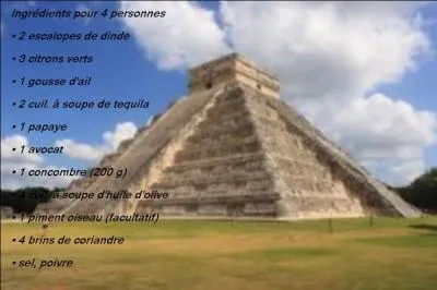 De quel pays nous vient la recette des aiguillettes de dinde à la tequila ?