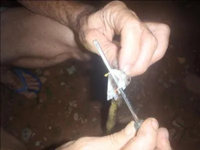 Trouvez l'expression correspondante à cette photo !