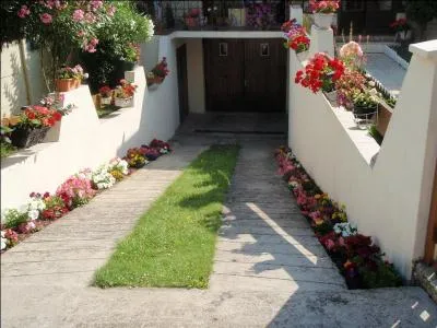 Dans ce film, plusieurs jeunes filles partent faire de la spéléologie, se perdent dans les profondeurs, et tombent sur des primates aux dents beaucoup trop pointues pour être honnêtes !