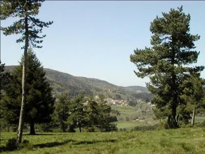 Fréquent dans le sud-ouest de la France, issu de noms de hameaux, communes certainement en rapport avec le bois.
