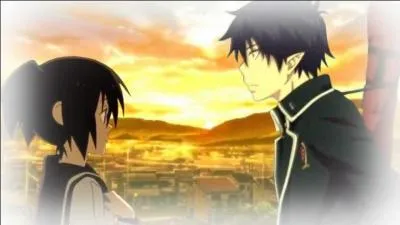 De quels mangas viennent ces deux personnages ?