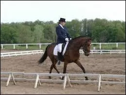 Pour faire une épaule en dedans, au niveau des jambes, il faut :