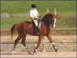 C' est une figure sur...pistes.