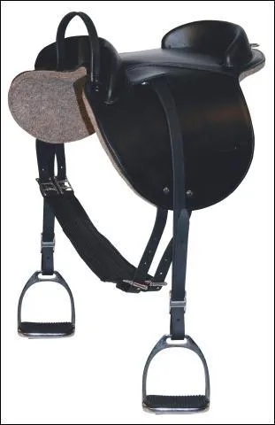 Cette selle existe-t-elle ?