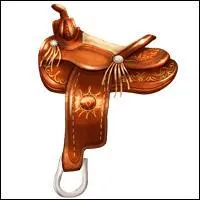 De quel type est cette selle ?