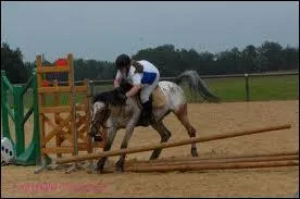 Comment s'appelle le sport qui consiste à monter un cheval ?