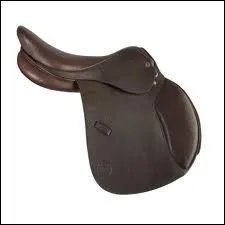 Comment s'appelle le fait d'équiper d'une selle un cheval ?