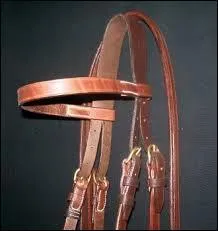 Comment s'appelle le fait d'équiper d'une bride un cheval ?