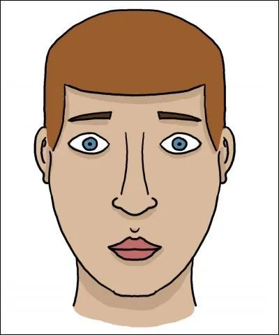 Trouvez maintenant la bonne paire visible dans le visage :