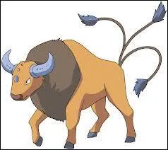 Qui est l'évolution de Tauros ?