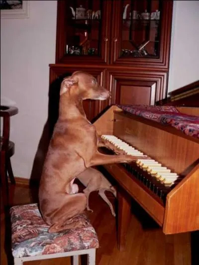 Lequel de ces chanteurs rend hommage à son chien dans sa chanson "Oural Ouralou" ?