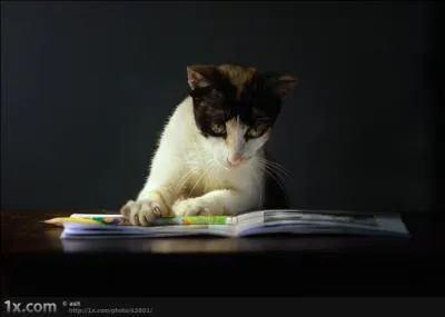 Comment surnommait-on Georges Clémenceau ?