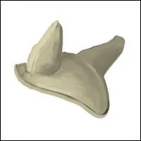 Cet objet s'appelle..