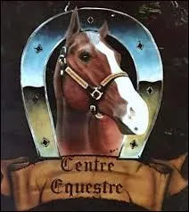 Combien d'ancienneté requise faut-il avoir pour créer son propre centre équestre ?