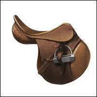 De quel type est cette selle?