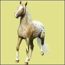 Combien y a-t-il d'ancienneté requise pour proposer une robe de la pomme d'or ?