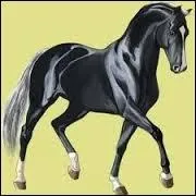 Que rapporte une création pour la pomme d'or si elle est sélectionnée ?