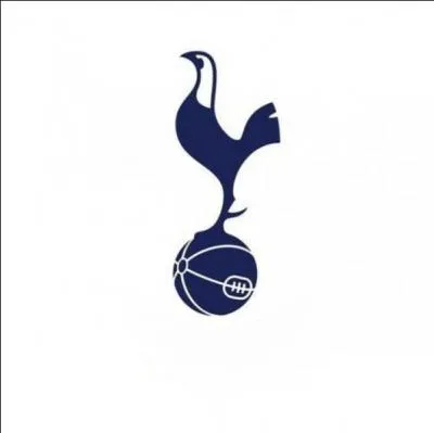 Quel club de football est représenté sur l'image ci-contre ?