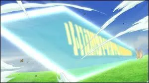 Quelle est sa technique ?