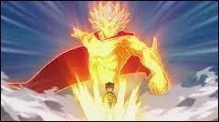 Quelle est sa technique ?