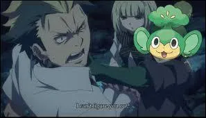 Quel personnage a une tête de Feuillajou ?