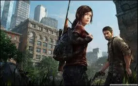 Quel jeu correspond à l'image ?