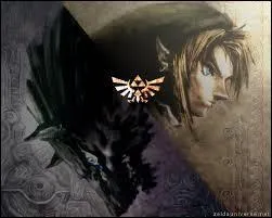 Quel jeu correspond à l'image ?