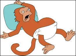 Quel est le nom de ce singe ?