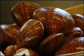 C comme coquillage. Quel est le nom de ce coquillage en forme d'amande ?