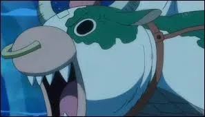 Comment s'appelle ce drôle d'animal ?