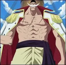 Luffy s'est battu contre lui.