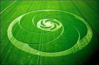 Quel est l'un des noms donnés à ces cercles qui apparaissent parfois dans des champs de céréales et qui sont au centre du film de science-fiction "Signes", sorti en 2002 ?