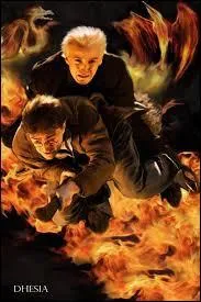 Que dit Ron à Harry quand celui-ci décide d'aller sauver Drago?