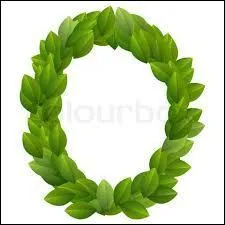 La traduction française du mot "consilium, ii, (neutre)" est :