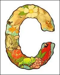 La traduction française du mot "causa, ae, (féminin)" est :