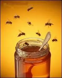 Pour se parfumer les Egyptiennes s'enduisaient avec du miel.