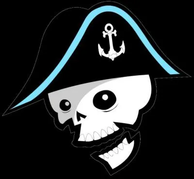 À quelle équipe appartient ce logo ?